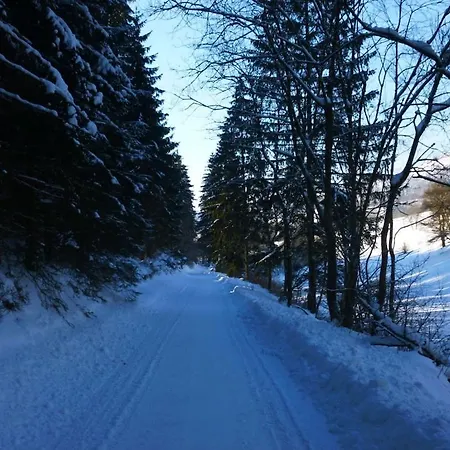 Heide Im Haus Kaiser Comfortable Lejlighed Winterberg