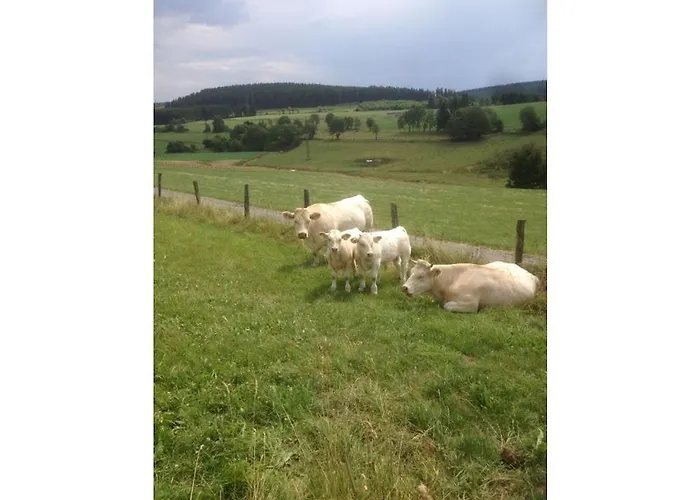 Heide Im Haus Kaiser Comfortable