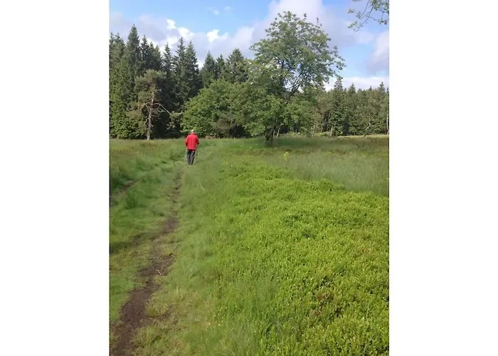 Heide Im Haus Kaiser Comfortable Appartement Winterberg