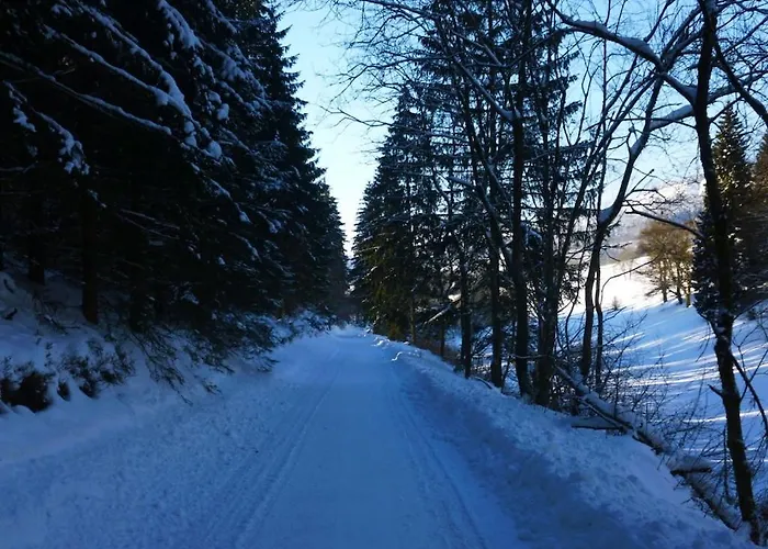 Heide Im Haus Kaiser Comfortable Apartment Winterberg